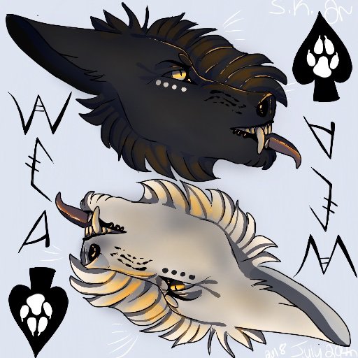 Icon Challenge Wolf Canine Amino Amino