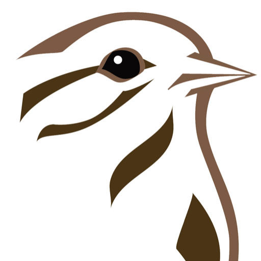 On Line Discussion Group Bird Protection Quebec Protection Des