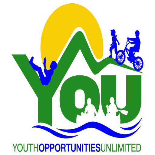 Cropped Web Icon You