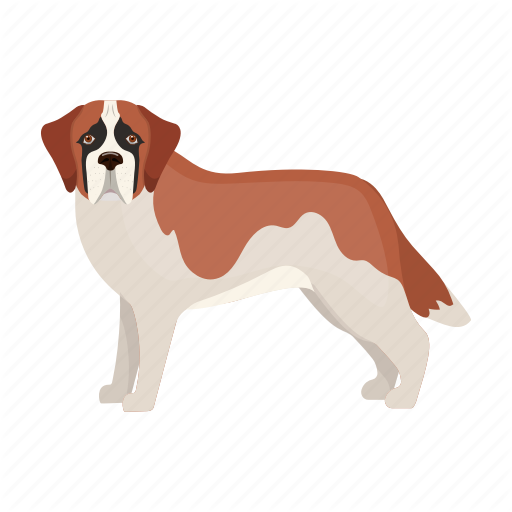 Animal, Breed, Dog, Mammal, Pet, St Bernard Icon