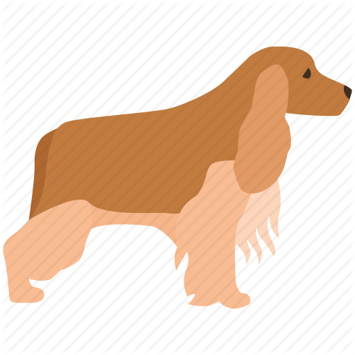 Cocker Spaniel, Dog, English, Field, Gun, Show Icon