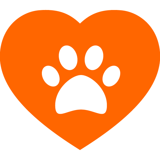 Hybrid Dog Breeds What Does Mean