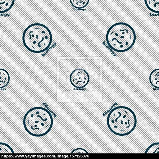 Bacteria And Virus Disease, Biology Cell Under Microscope Icon