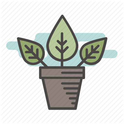 Flower, House Plant, Indoor, Leaf, Plant, Pot Icon