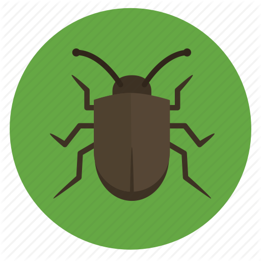 Beetle, Bug, Crawler, Insect, Insects, Nature, Stink Bug Icon