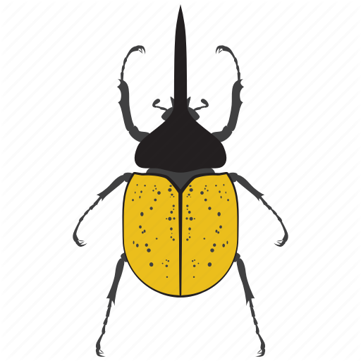 Beetle, Bug, Insect Icon