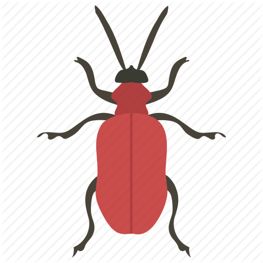 Beetle, Insect, Pest, Water Bug, Water Insect Icon