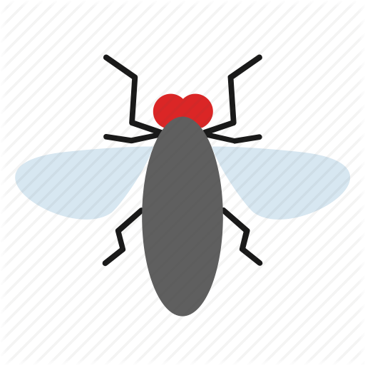Fly, Housefly, Insect Icon