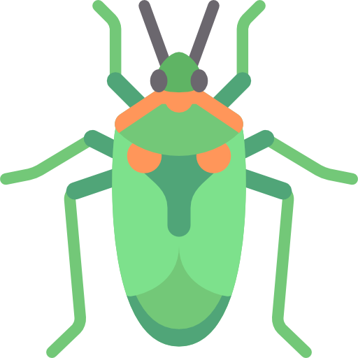 Insect Icon