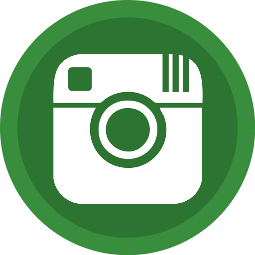 Instagram Logos Transparent Png Clipart Free Download