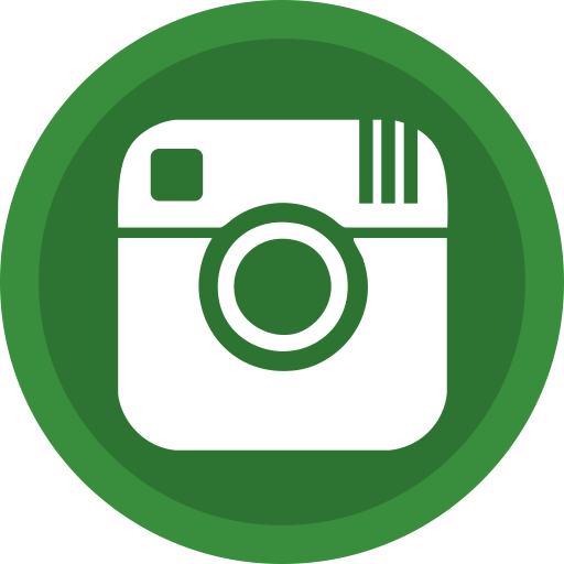 Instagram Icon