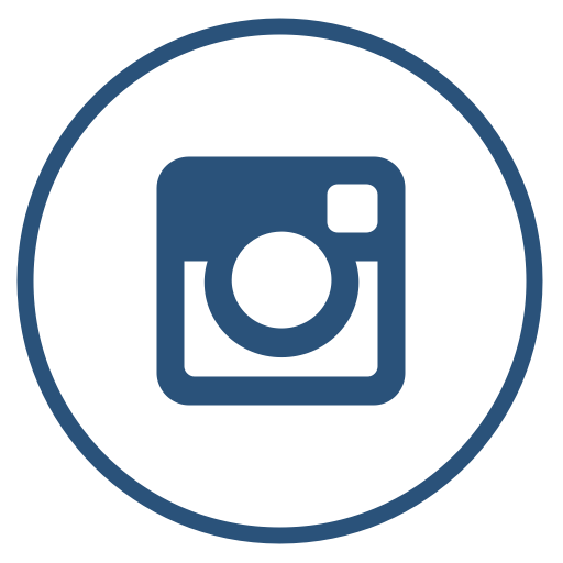 Instagram Icon