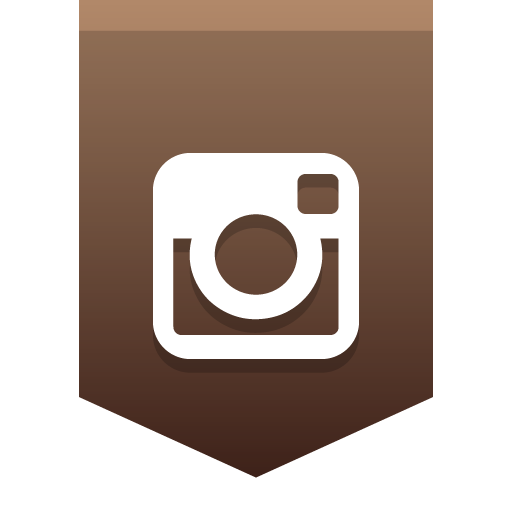 Instagram Icon Social Media Buntings Iconset Social Media Icons