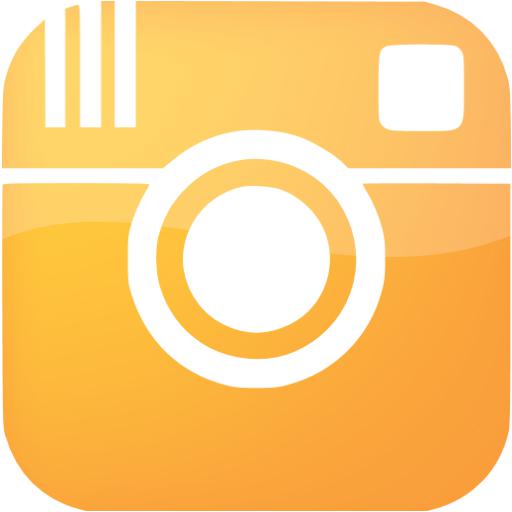 Web Orange Instagram Icon