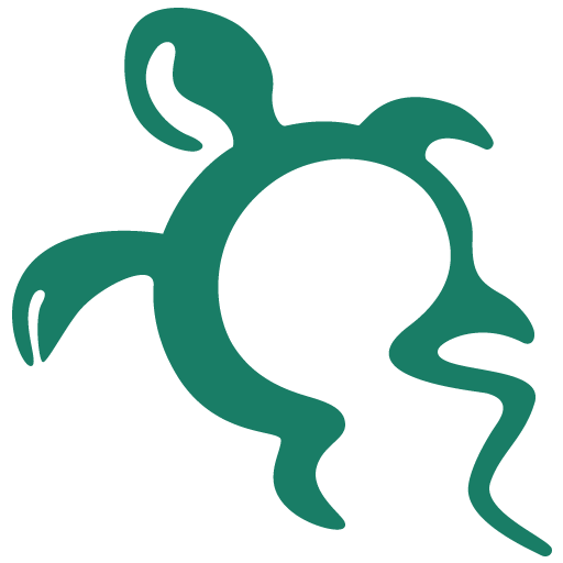 Site Icon Turtleback Interactive