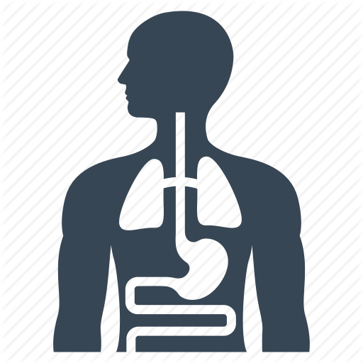 Diagnosis, Health Care, Internal Medicine Icon