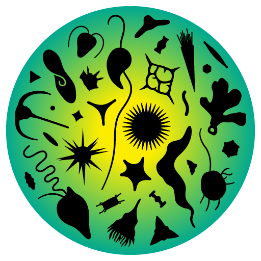 Cropped Isop Yg Gradient Black Icons Wp