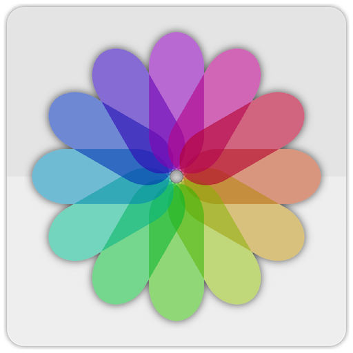 A Gallery Photos Videos