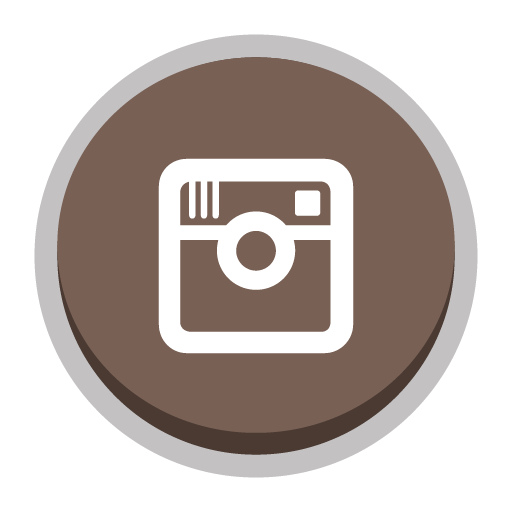 Instagram Icon