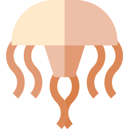 Jellyfish
