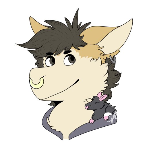 Icons Dragons! Amino