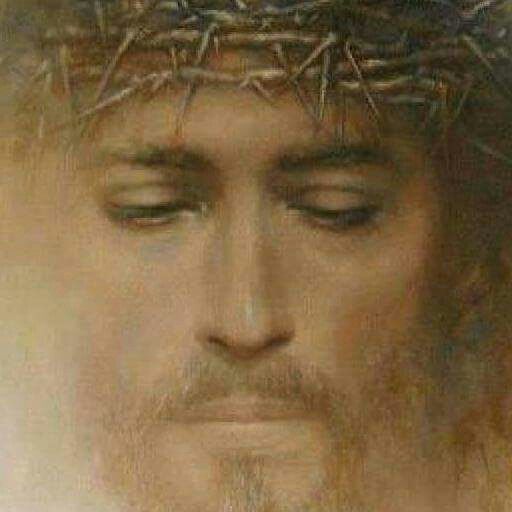Il Santo Volto Di Art Jesus Of Nazareth Jesus Face
