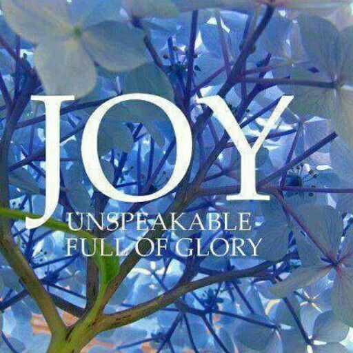 Joy Unspeakable Full Of Glory In A Relationship With Jesus