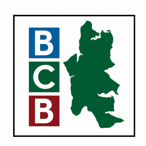 Cropped Bcb Icon