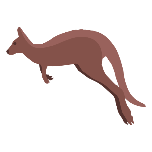 Kangaroo Jumping