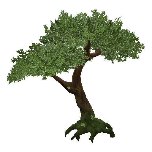 Download Free Jungle Tree Transparent Icon Favicon Freepngimg