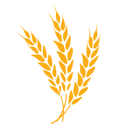 Cropped Jw Site Icon Joseph's Way