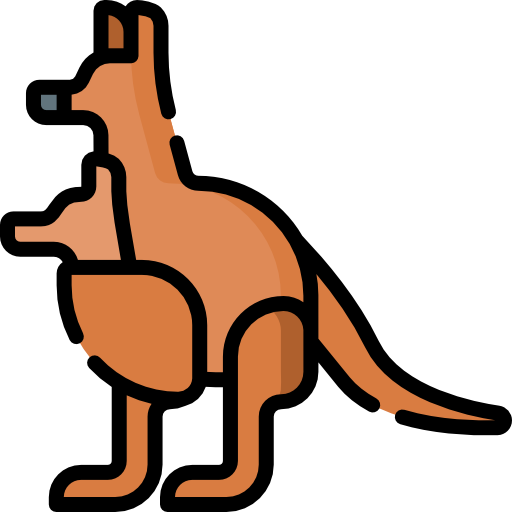 Kangaroo Icon at GetDrawings | Free download