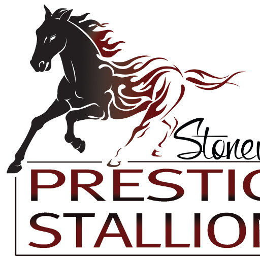 In The Name Of Derby Prestige Stallions