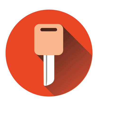 Key Circle Icon