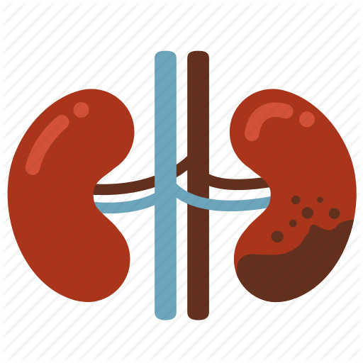 Cancer, Disease, Ill, Infection, Kidney, Kidney Failure Icon