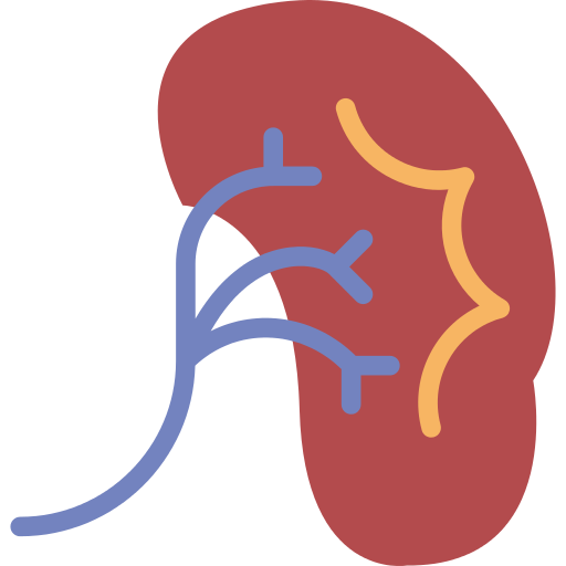 Kidney Png Icon