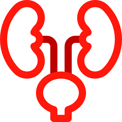Kidneys