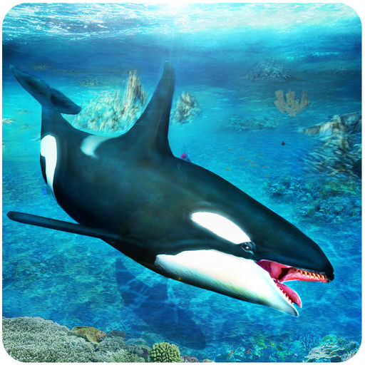 Killer Whale Simulator An Orca Simulation Game
