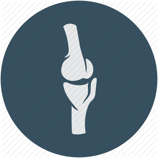 Knee Icon at GetDrawings | Free download