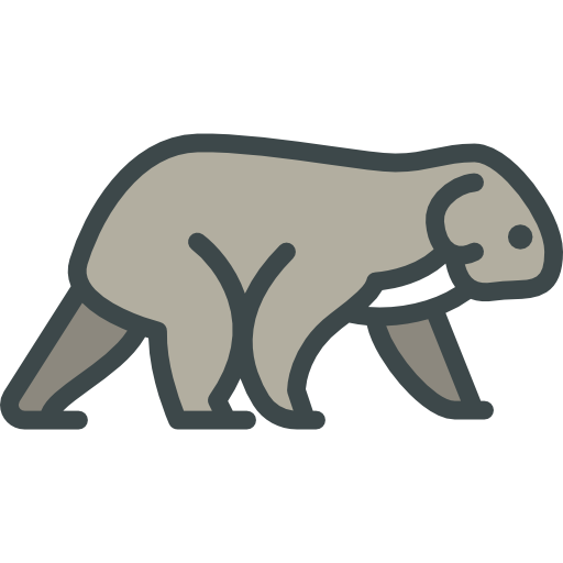Koala Icon