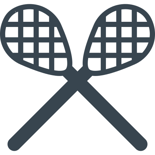 Lacrosse Png Icon