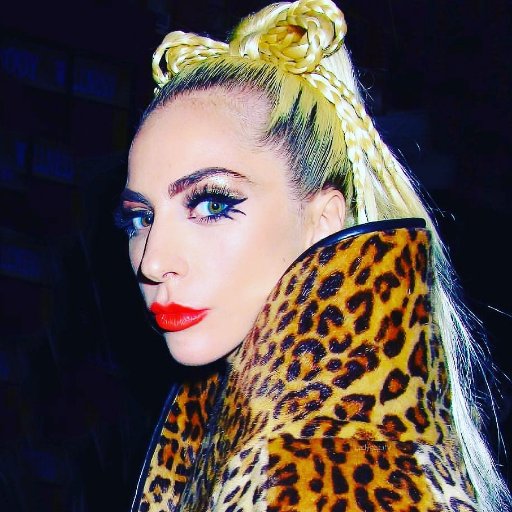 Lady Gaga Media