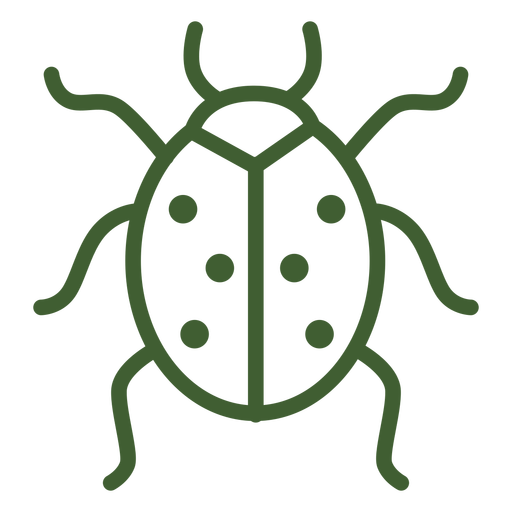 Lady Bug Icon