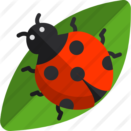 Ladybug