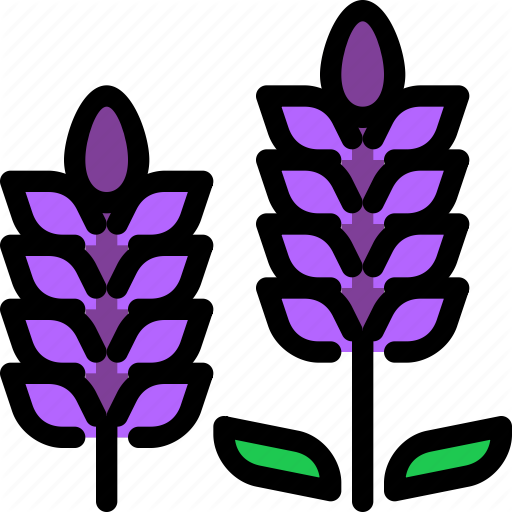 Flower, Graden, Hokkaido, Lavender Icon
