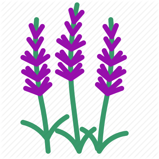 Food, Herb, Lavender, Vegetable Icon