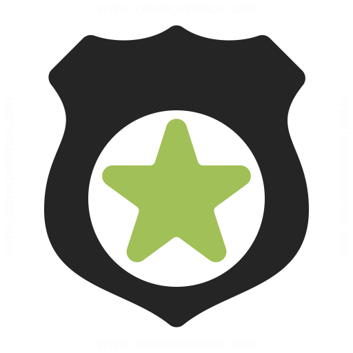 Security Badge Icon Iconexperience