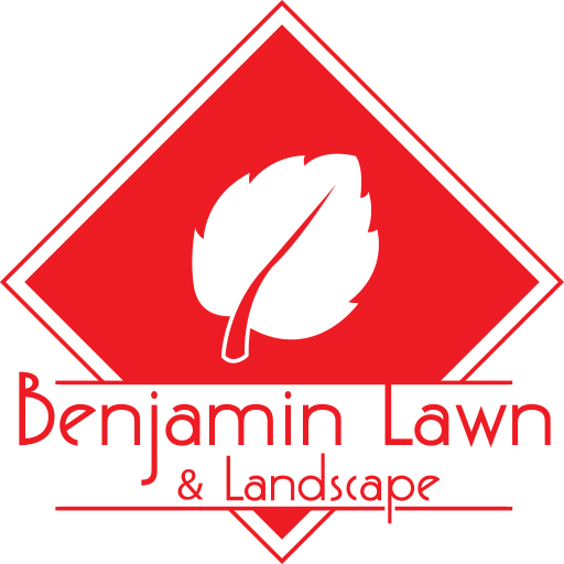 Kansas City Lawn Care And Landscaping Services Benjamin Lawn