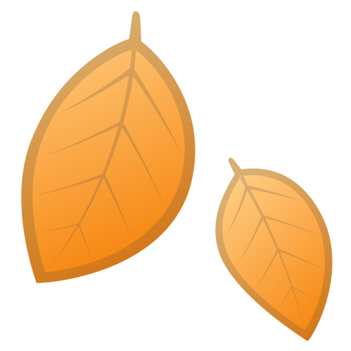 Fallen Leaf Icon Noto Emoji Animals Nature Iconset Google