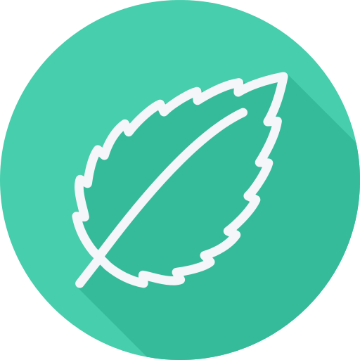 Leaf Png Icon